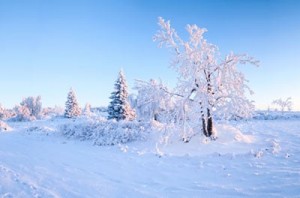 Hintergrund Winter-Fotoaktion 2017 Fotostudio Keepsmile, Castrop-Rauxel