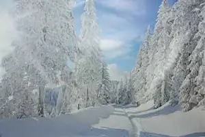 Hintergrund Winter-Fotoaktion 2016 Fotostudio Keepsmile, Castrop-Rauxel