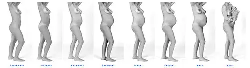 Babybauchfotos über mehrere Monate sind eine schöne Erinnerung