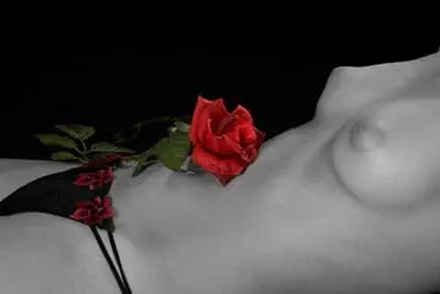 Teil-Aktfoto mit Rose in Farbe und sw im Fotostudio Keepsmile, Castrop-Rauxel bei Herne